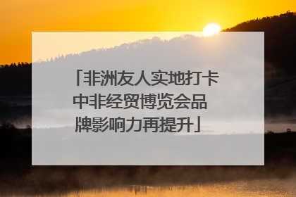 非洲友人实地打卡 中非经贸博览会品牌影响力再提升