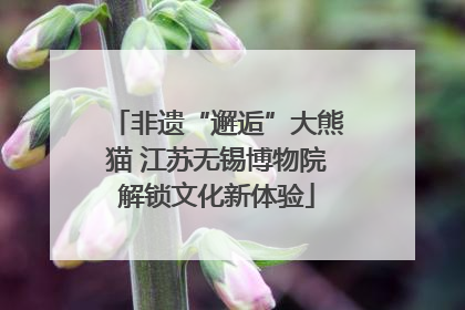 非遗“邂逅”大熊猫 江苏无锡博物院解锁文化新体验