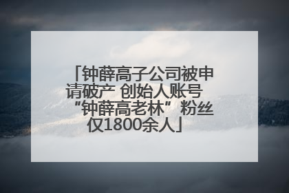 钟薛高子公司被申请破产 创始人账号“钟薛高老林”粉丝仅1800余人