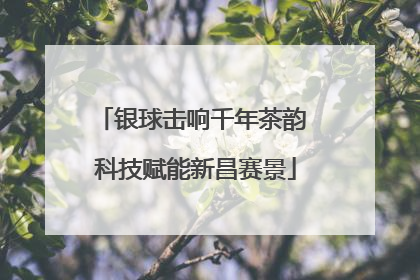 银球击响千年茶韵 科技赋能新昌赛景