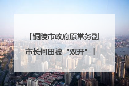 铜陵市政府原常务副市长何田被“双开”