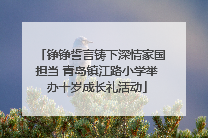 铮铮誓言铸下深情家国担当 青岛镇江路小学举办十岁成长礼活动