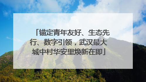 锚定青年友好、生态先行、数字引领，武汉最大城中村华安里焕新在即