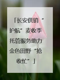 长安供销“护航”麦收季托管服务助力金色田野“抢收忙”