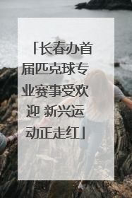 长春办首届匹克球专业赛事受欢迎 新兴运动正走红