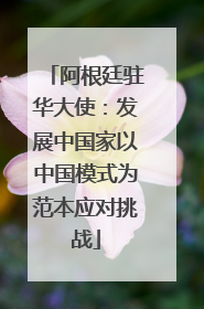 阿根廷驻华大使：发展中国家以中国模式为范本应对挑战