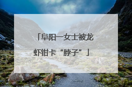 阜阳一女士被龙虾钳卡“脖子”