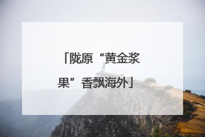 陇原“黄金浆果”香飘海外