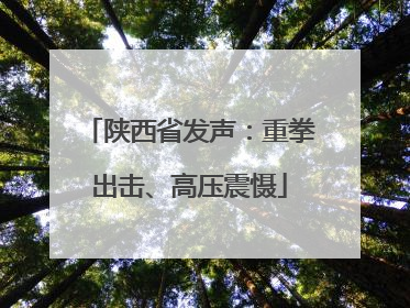 陕西省发声：重拳出击、高压震慑