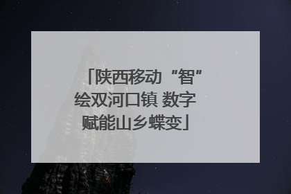 陕西移动“智”绘双河口镇 数字赋能山乡蝶变