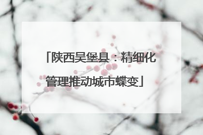 陕西吴堡县：精细化管理推动城市蝶变