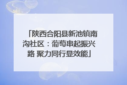 陕西合阳县新池镇南沟社区：葡萄串起振兴路 聚力同行显效能