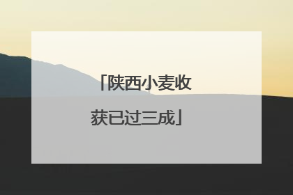 陕西小麦收获已过三成