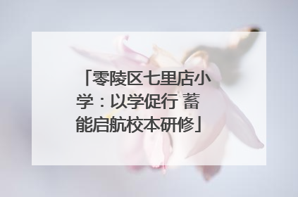 零陵区七里店小学：以学促行 蓄能启航校本研修