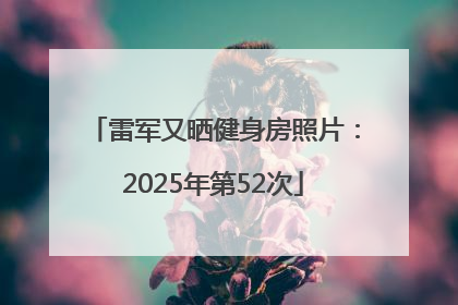 雷军又晒健身房照片：2025年第52次