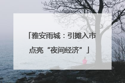 雅安雨城：引摊入市 点亮“夜间经济”