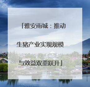 雅安雨城：推动生猪产业实现规模与效益双重跃升