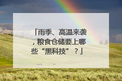 雨季、高温来袭，粮食仓储要上哪些“黑科技”？