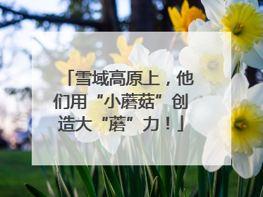 雪域高原上，他们用“小蘑菇”创造大“蘑”力！