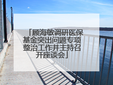 顾海敏调研医保基金突出问题专项整治工作并主持召开座谈会