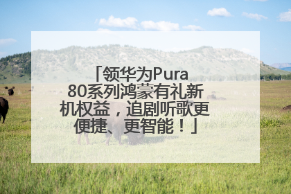 领华为Pura 80系列鸿蒙有礼新机权益，追剧听歌更便捷、更智能！