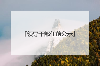 领导干部任前公示