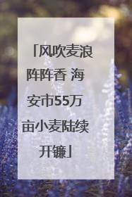 风吹麦浪阵阵香 海安市55万亩小麦陆续开镰