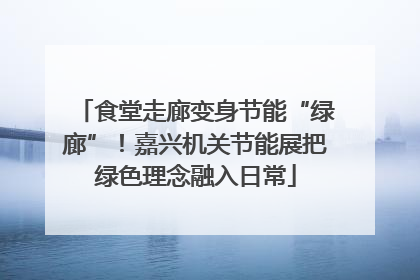 食堂走廊变身节能“绿廊”！嘉兴机关节能展把绿色理念融入日常