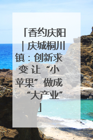 香约庆阳｜庆城桐川镇：创新求变 让“小苹果”做成“大产业”