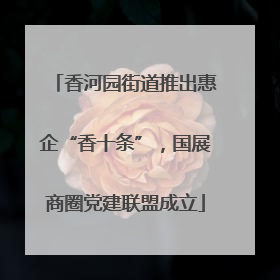 香河园街道推出惠企“香十条”，国展商圈党建联盟成立