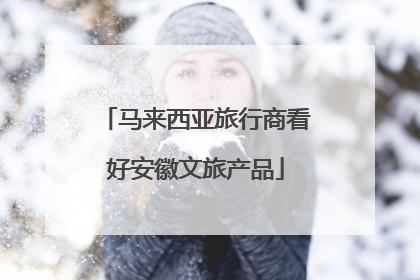 马来西亚旅行商看好安徽文旅产品