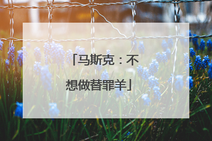 马斯克：不想做替罪羊
