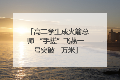 高二学生成火箭总师 “手搓”飞燕一号突破一万米