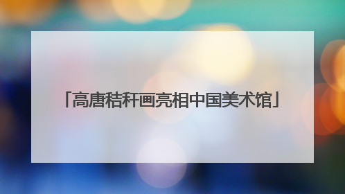 高唐秸秆画亮相中国美术馆