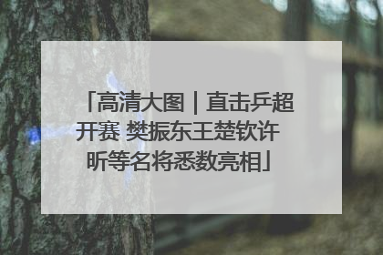 高清大图｜直击乒超开赛 樊振东王楚钦许昕等名将悉数亮相
