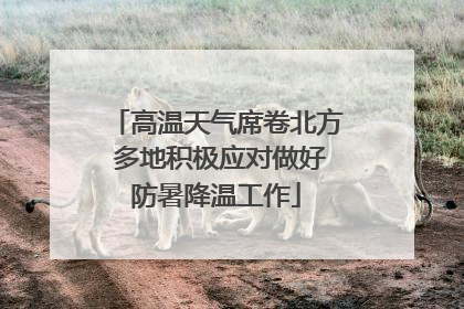 高温天气席卷北方 多地积极应对做好防暑降温工作