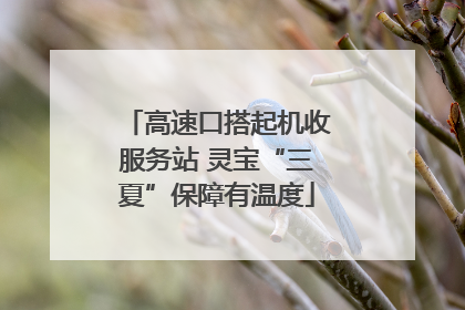 高速口搭起机收服务站 灵宝“三夏”保障有温度