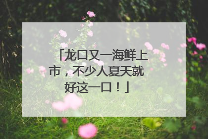 龙口又一海鲜上市，不少人夏天就好这一口！