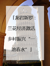 龙岩新罗：兰花经济激活乡村振兴“一池春水”