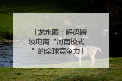 龙永图：解码跨境电商“河南模式”的全球竞争力