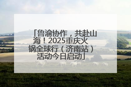 鲁渝协作，共赴山海！2025重庆火锅全球行（济南站）活动今日启动