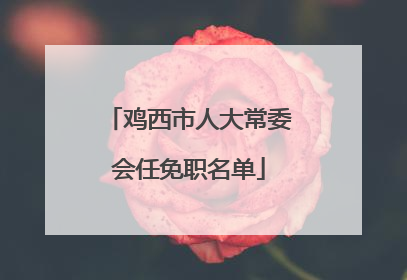 鸡西市人大常委会任免职名单
