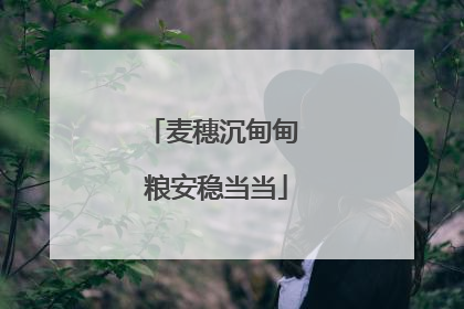 麦穗沉甸甸 粮安稳当当