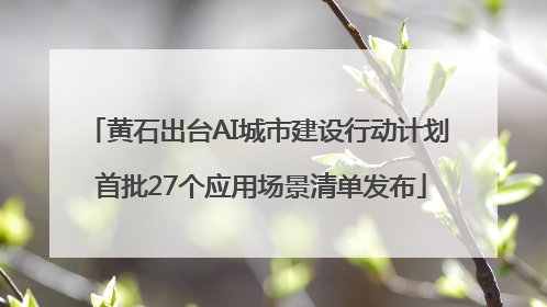 黄石出台AI城市建设行动计划 首批27个应用场景清单发布