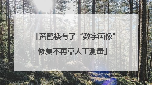 黄鹤楼有了“数字画像” 修复不再靠人工测量
