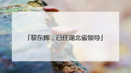 黎东辉，已任湖北省领导