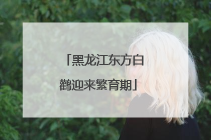 黑龙江东方白鹳迎来繁育期