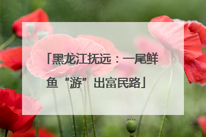 黑龙江抚远：一尾鲜鱼“游”出富民路