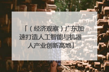 （经济观察）广东加速打造人工智能与机器人产业创新高地