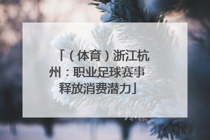 （体育）浙江杭州：职业足球赛事释放消费潜力